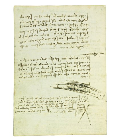 Codex over de vlucht van vogels, Folio 6 verso door Leonardo da Vinci